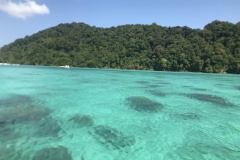 Les îles Surin