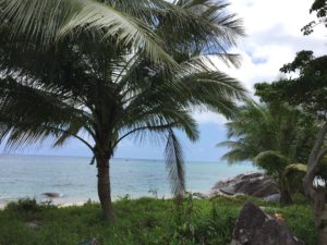 mer-ile-de-tioman