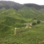 Cameron-Highlands (3)