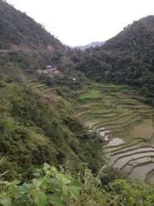 riziere-banaue-1