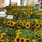 flower-market-londres-3