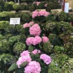 flower-market-londres-2