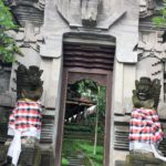 ubud (30)