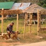 mae klang luang (10)