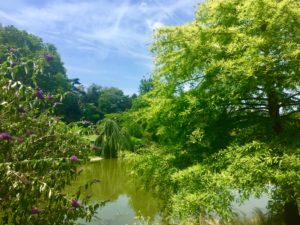 balades à paris-parcmontsouris